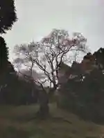 廣實神社(山口県)