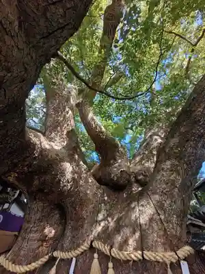 三島神社(大阪府)