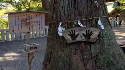 熊野神社(岩手県)