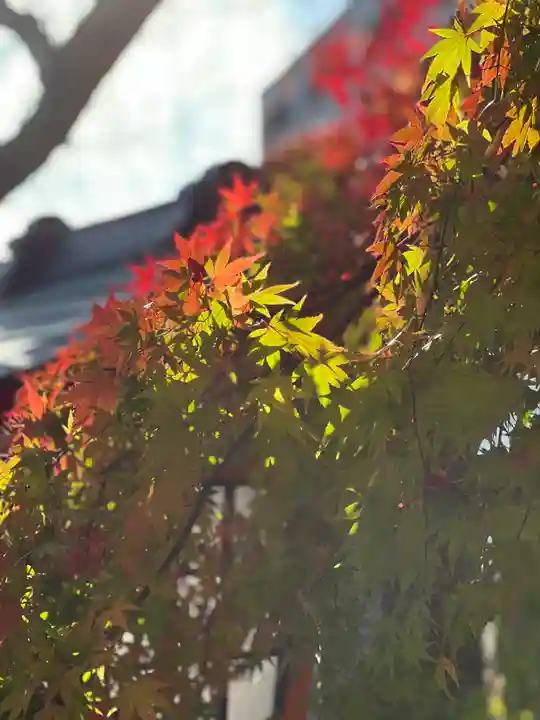 新倉富士浅間神社(山梨県)