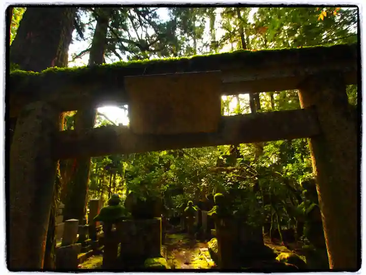 高野山金剛峯寺奥の院(和歌山県)