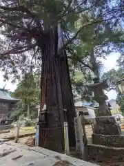 水主神社の自然