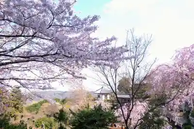 善峯寺(京都府)