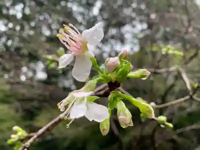 普門寺(切り絵御朱印発祥の寺)(愛知県)