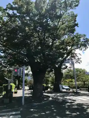 松本神社(長野県)