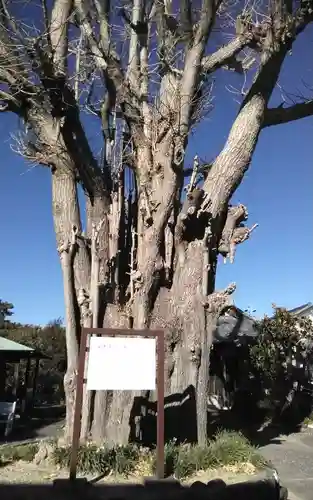 栄秀寺(静岡県)