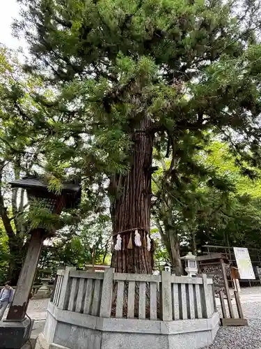 諏訪大社下社秋宮(長野県)
