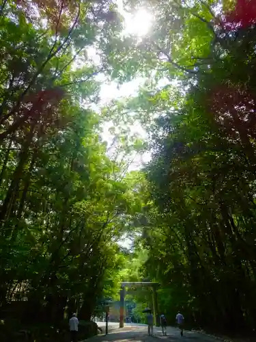 伊勢神宮内宮（皇大神宮）の自然