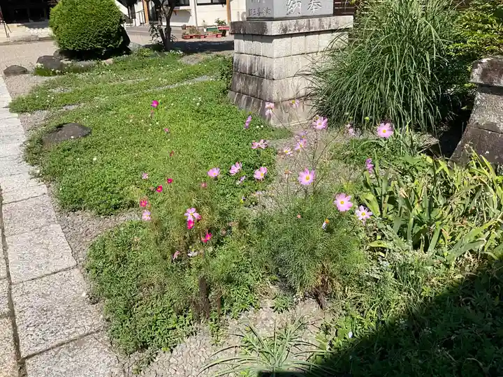 諏訪神社(群馬県)
