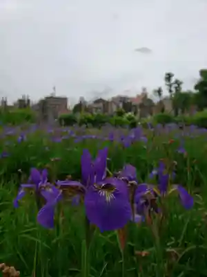 妙法寺(東京都)