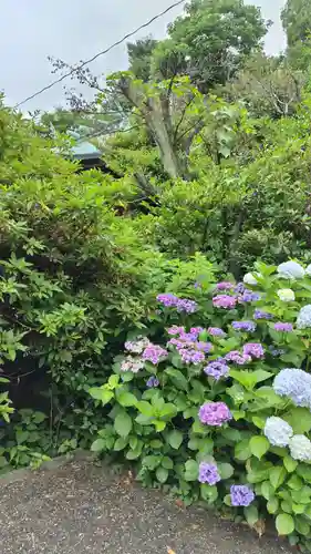 白金氷川神社(東京都)