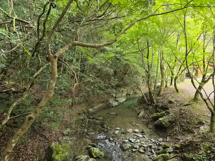 丹生川上神社(中社)(奈良県)
