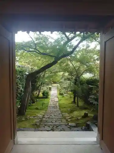 龍安寺(京都府)