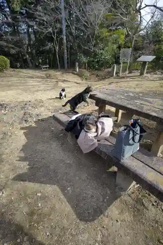 玉野御嶽神社の動物