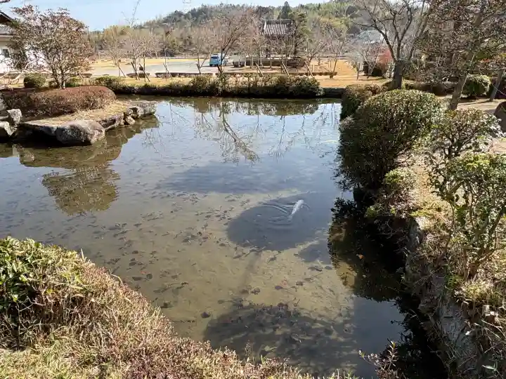 大御堂観音寺の{uncategorized: "未分類", other: "その他", undefined: "問題あり", building: "その他建物", grave: "お墓", sacred_gate: "鳥居", guardian: "狛犬", statue: "像", buddha: "仏像", history: "歴史", nature: "自然", garden: "庭園", animal: "動物", pagoda: "塔", temizu: "手水舎", mountain_gate: "山門・神門", sanctuary: "本殿・本堂", subordinate: "末社・摂社", art: "芸術", scenery: "景色", jizo: "地蔵", ema: "絵馬", goshuin: "御朱印", omikuji: "おみくじ", items: "授与品その他", amulet: "お守り", goshuincho: "御朱印帳", eats: "食事", festival: "お祭り", votive_dance: "神楽", shichigosan: "七五三参", wedding: "結婚式", experience: "体験その他", initially: "初詣", around: "周辺", anti_infection: "感染症対策"}