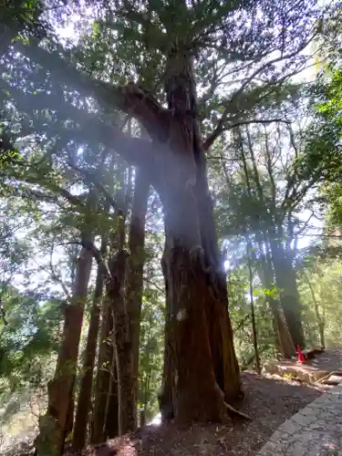 継桜王子(和歌山県)