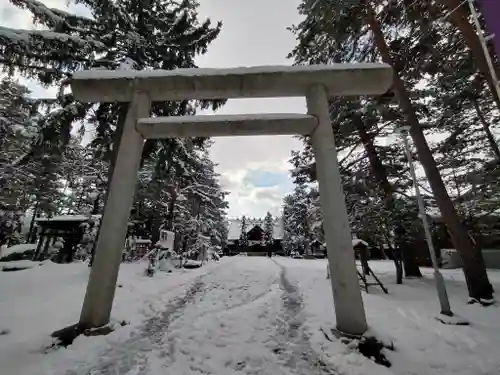 上川神社の鳥居