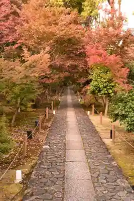 鹿王院(京都府)