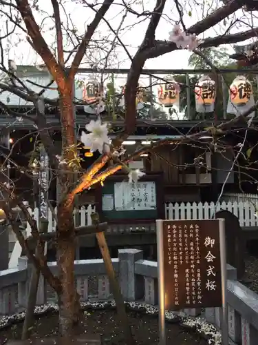 大坊本行寺の自然