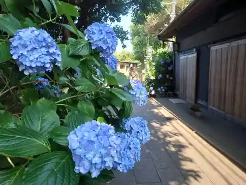 江島神社の自然