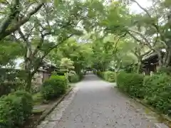 西教寺の建物その他