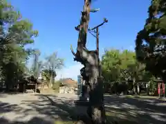 闘鶏神社の建物その他