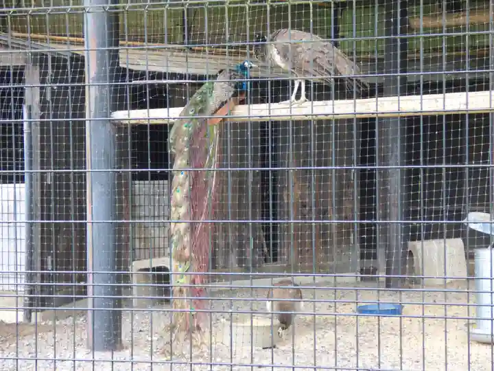 長谷寺(古河長谷観音)の周辺