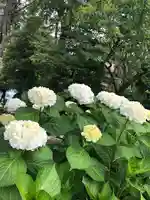 境香取神社の自然