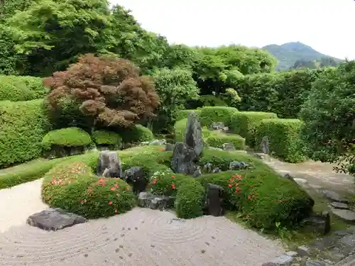 頼久寺の庭園