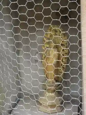 白髭社（飯島白髭社）の像