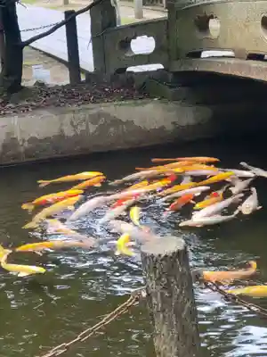 石鎚神社 口之宮 本社(愛媛県)