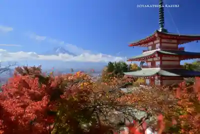 新倉富士浅間神社(山梨県)