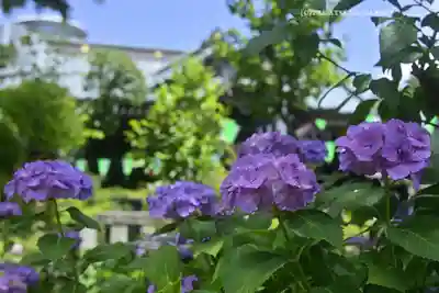白山神社(東京都)
