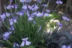 東海市熊野神社の手水