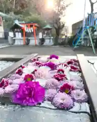 根岸八幡神社の手水