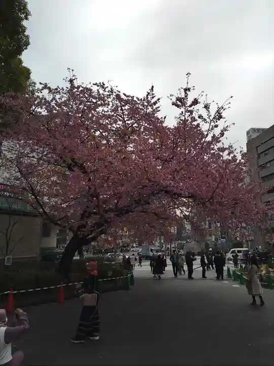 五條天神社の自然