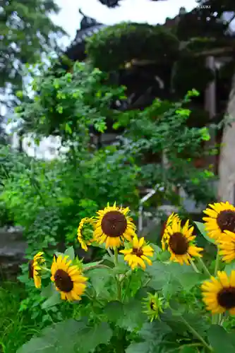 總持寺(東京都)
