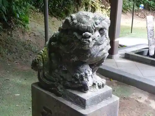 富岡八幡宮の狛犬