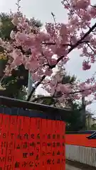 車折神社の自然