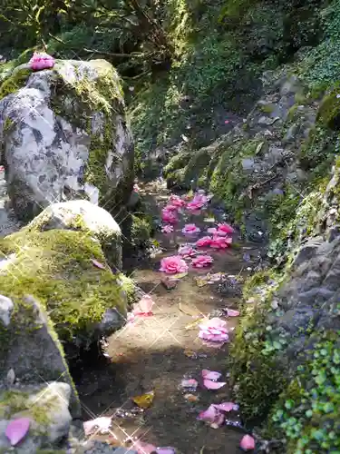 赤堂観音の庭園