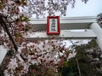 北山鹿島神社の鳥居