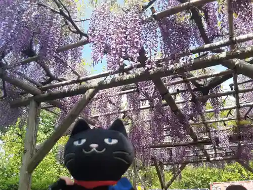 亀戸天神社(東京都)