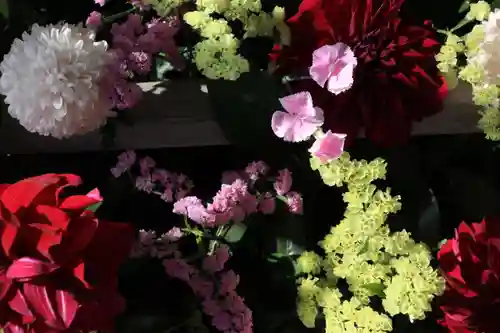 豊景神社の手水