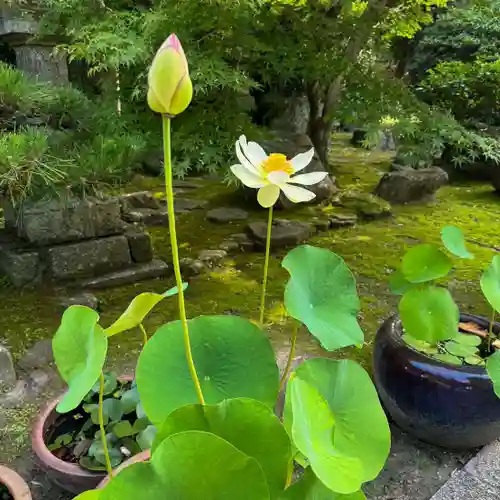 伊勢の国 四天王寺(三重県)