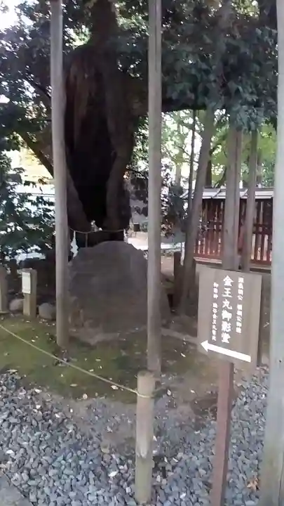 金王八幡宮(東京都)