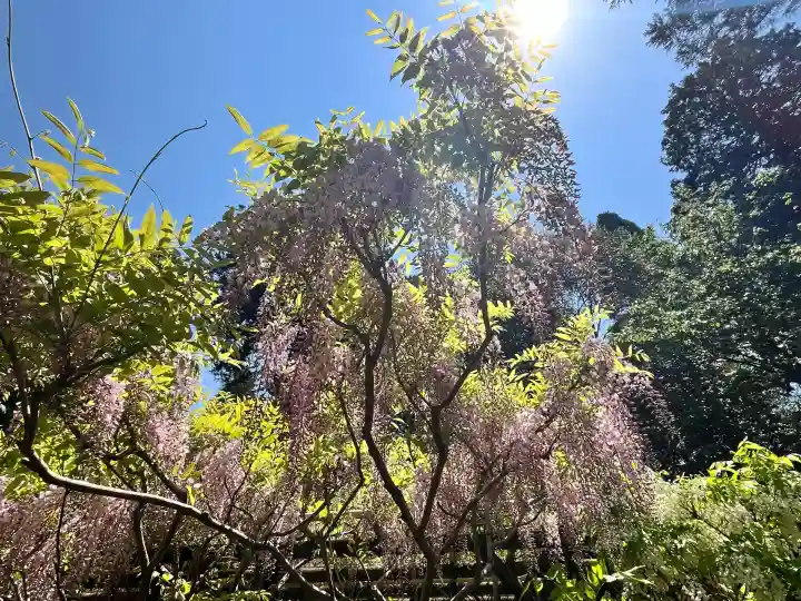 歌泉堂(春日大社神苑萬葉植物園内鎮座)(奈良県)
