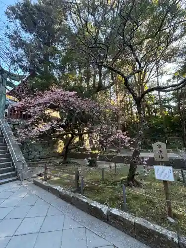 久能山東照宮の{uncategorized: "未分類", other: "その他", undefined: "問題あり", building: "その他建物", grave: "お墓", sacred_gate: "鳥居", guardian: "狛犬", statue: "像", buddha: "仏像", history: "歴史", nature: "自然", garden: "庭園", animal: "動物", pagoda: "塔", temizu: "手水舎", mountain_gate: "山門・神門", sanctuary: "本殿・本堂", subordinate: "末社・摂社", art: "芸術", scenery: "景色", jizo: "地蔵", ema: "絵馬", goshuin: "御朱印", omikuji: "おみくじ", items: "授与品その他", amulet: "お守り", goshuincho: "御朱印帳", eats: "食事", festival: "お祭り", votive_dance: "神楽", shichigosan: "七五三参", wedding: "結婚式", experience: "体験その他", initially: "初詣", around: "周辺", anti_infection: "感染症対策"}