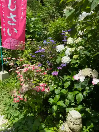 鷲子山上神社の自然