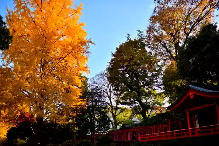 根津神社(東京都)
