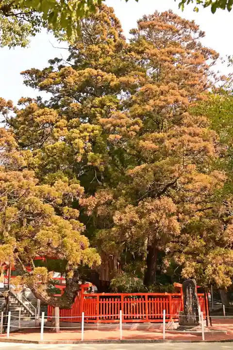 香椎宮(福岡県)